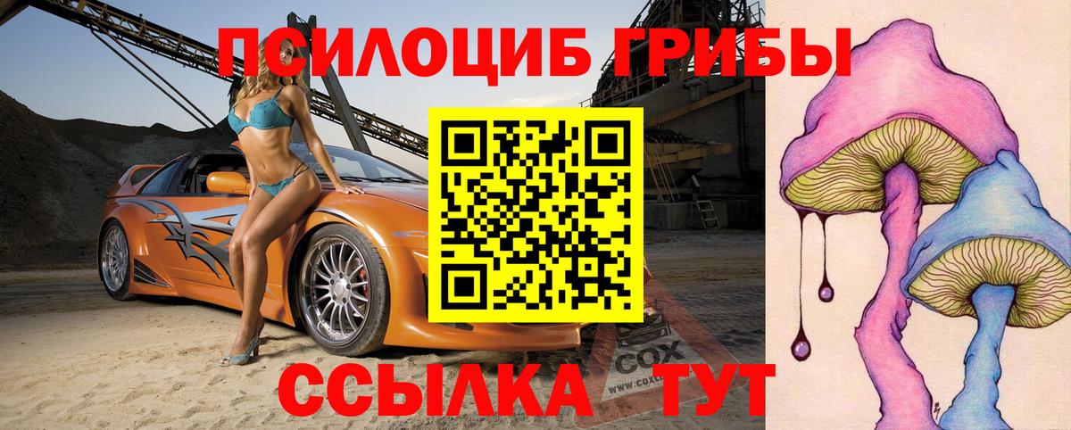 Псилоцибиновые грибы GOLDEN TEACHER  Вход с VPN  продажа наркотиков  Аша  Галлюциногенные грибы Magic Shrooms 