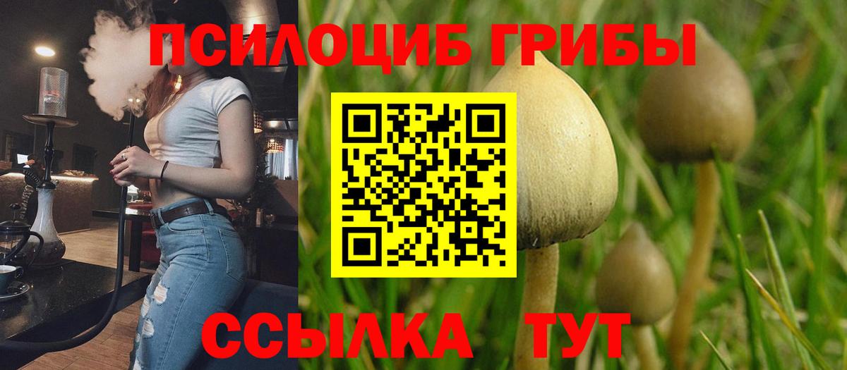 Псилоцибиновые грибы ЛСД Аша